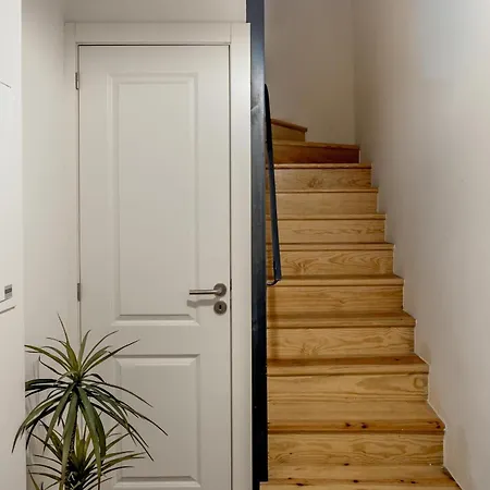 Apartamento Downtown Modern By Homing *